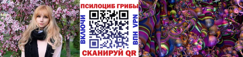 где найти   Томмот  Псилоцибиновые грибы прущие грибы 